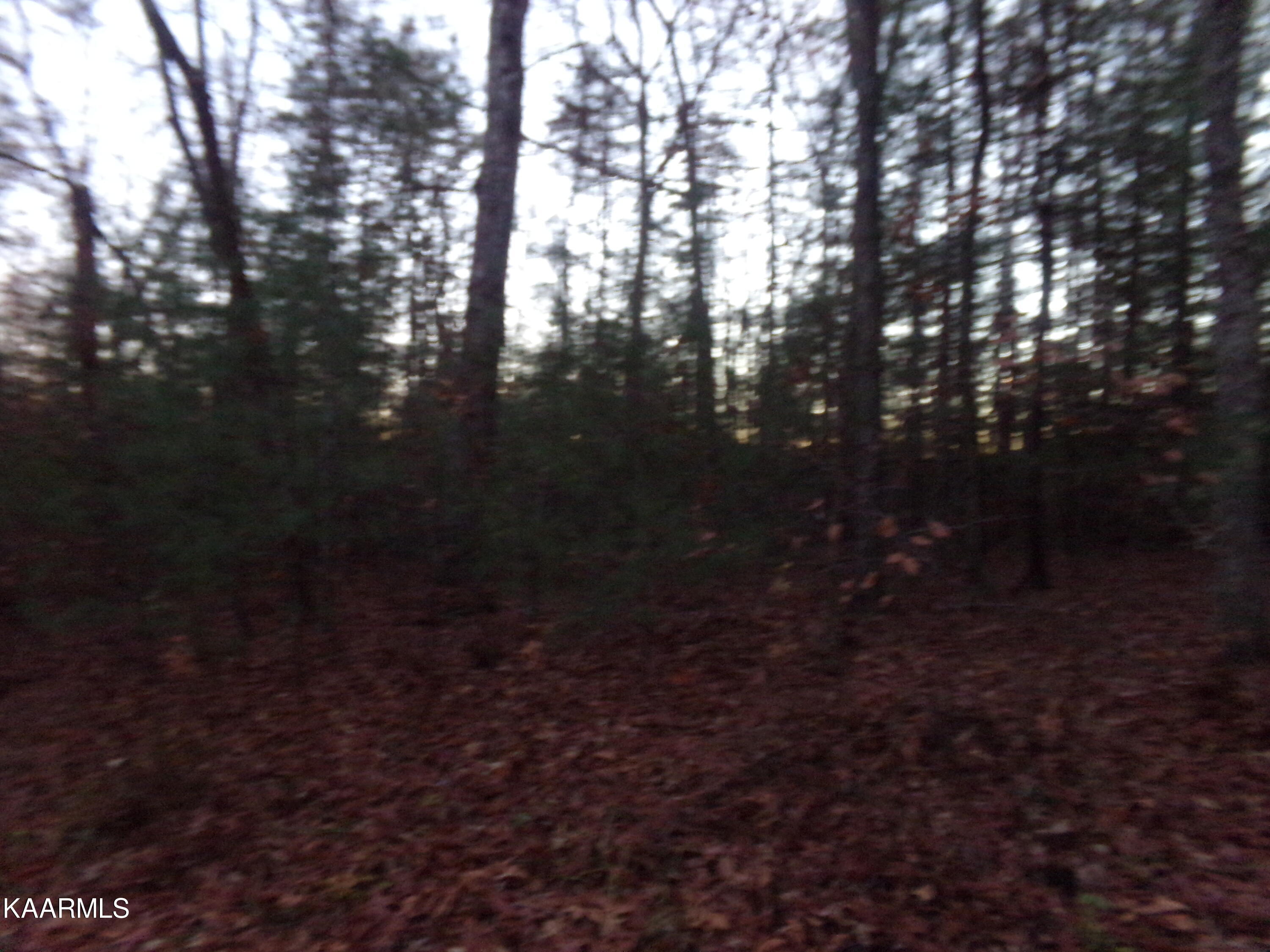 5009 Beaver Road Crossville, TN 38572 - Photo 9 of 11 Wooded Lot