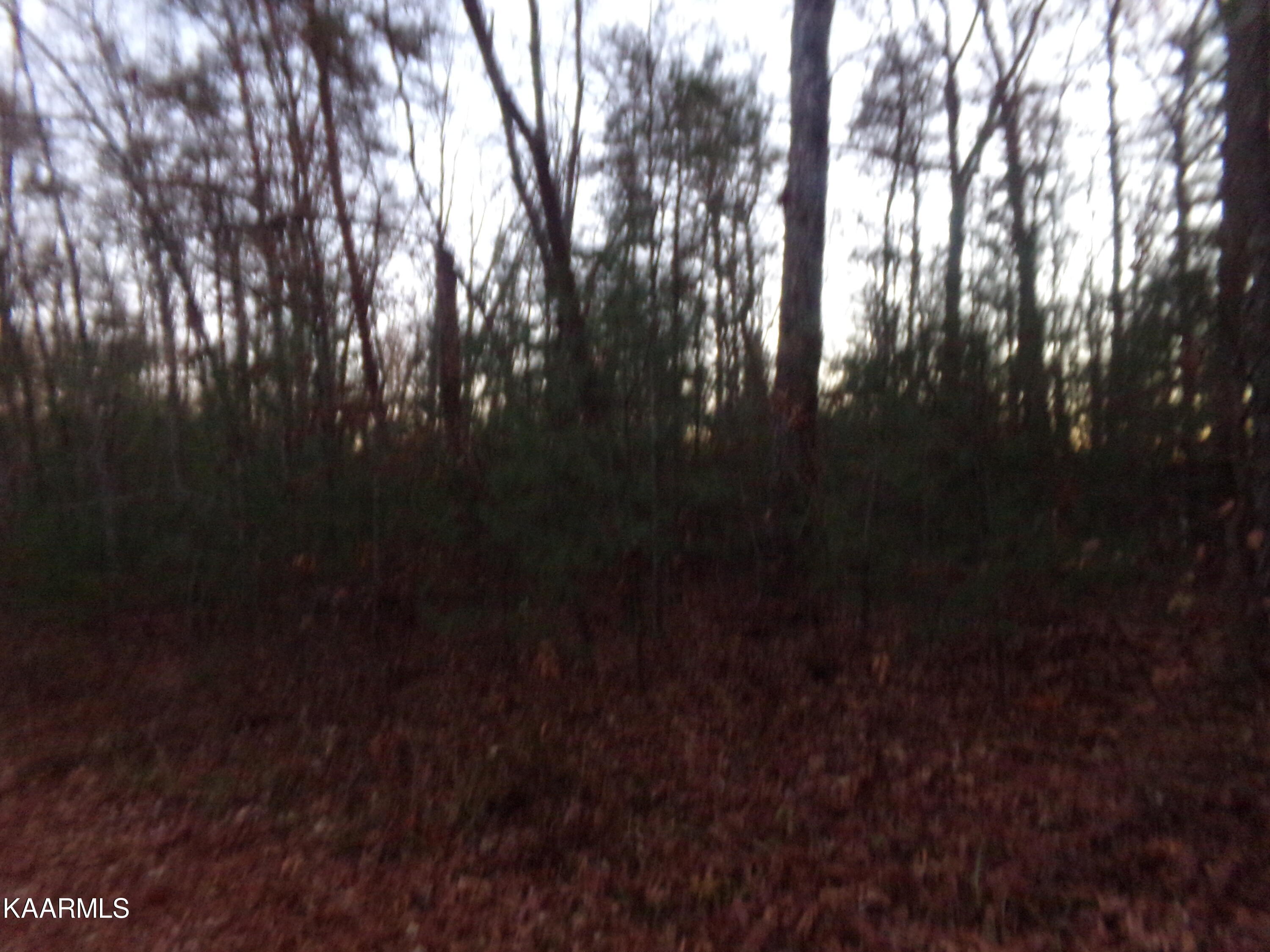 5009 Beaver Road Crossville, TN 38572 - Photo 10 of 11 Lake Tansi Lot