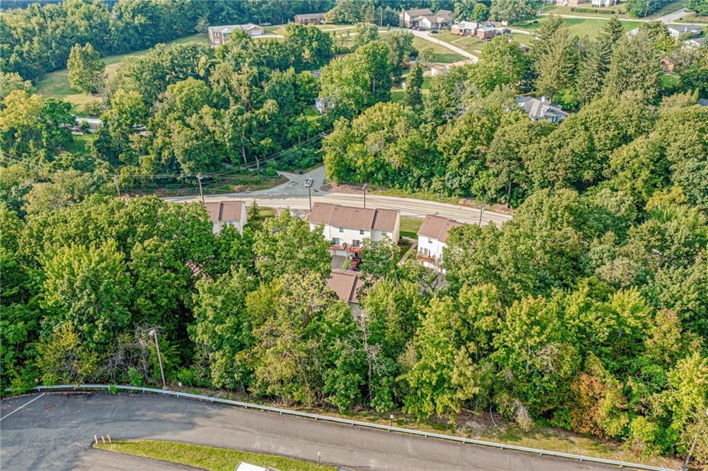 820 Mt Pleasant Road Greensburg, PA 15601 - Photo 29 of 30 a view of a yard with plants