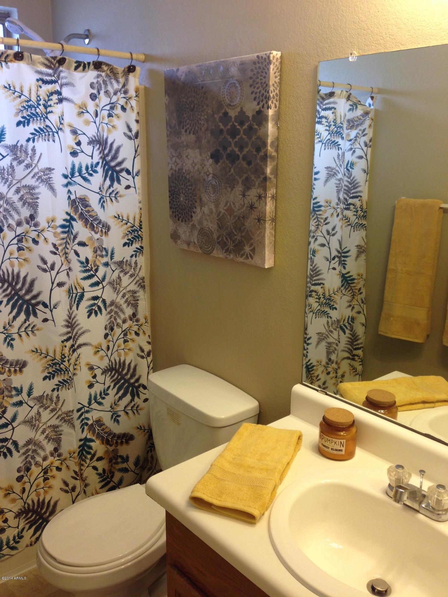 13034 West Redfield Road El Mirage, AZ 85335 - Photo 6 of 11 Guest Bathroom