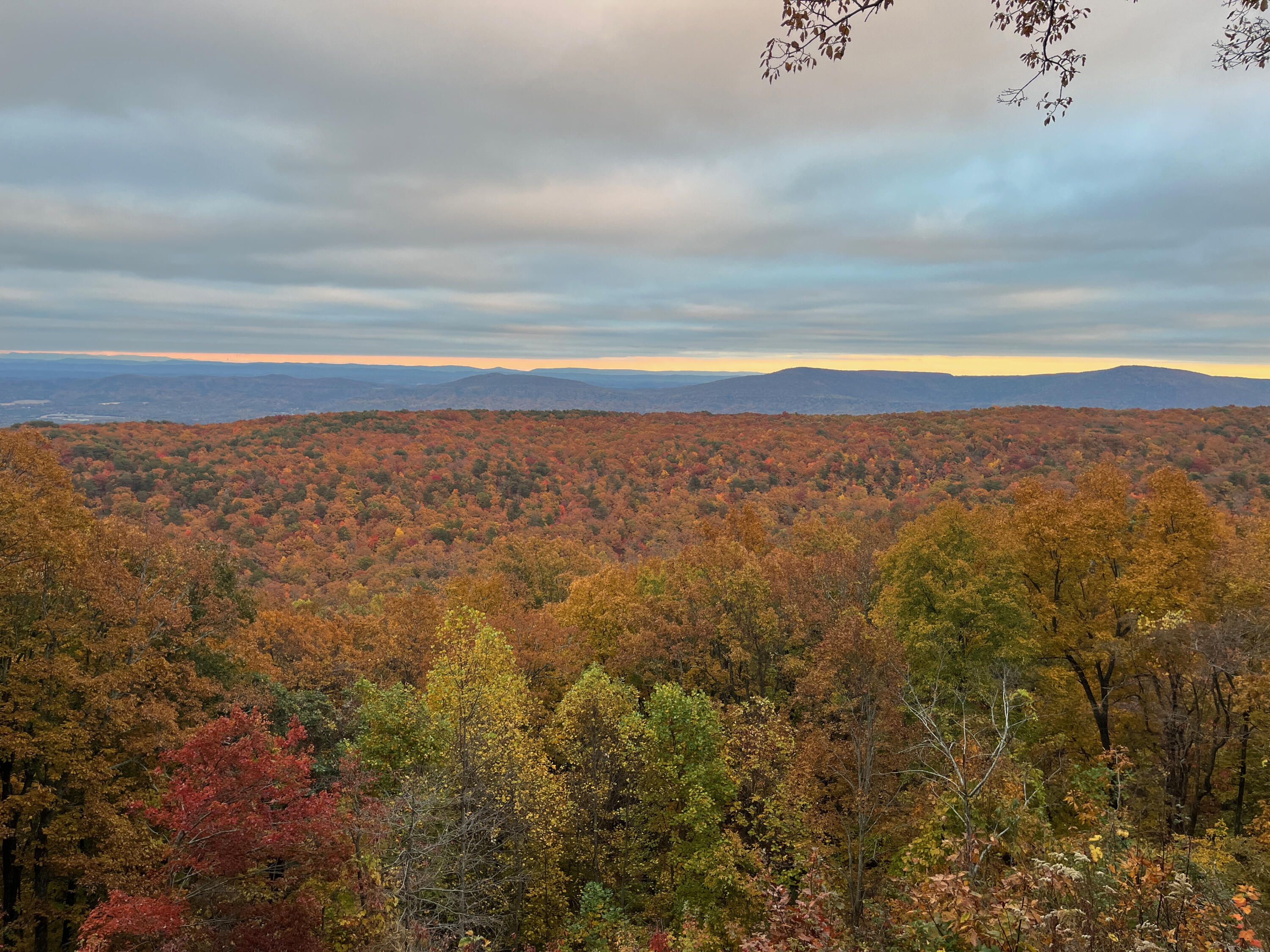 12855 Highway 157 Rising Fawn, GA 30738 - Photo 107 of 113 Jayne 12855 Hwy 157 Views - 2
