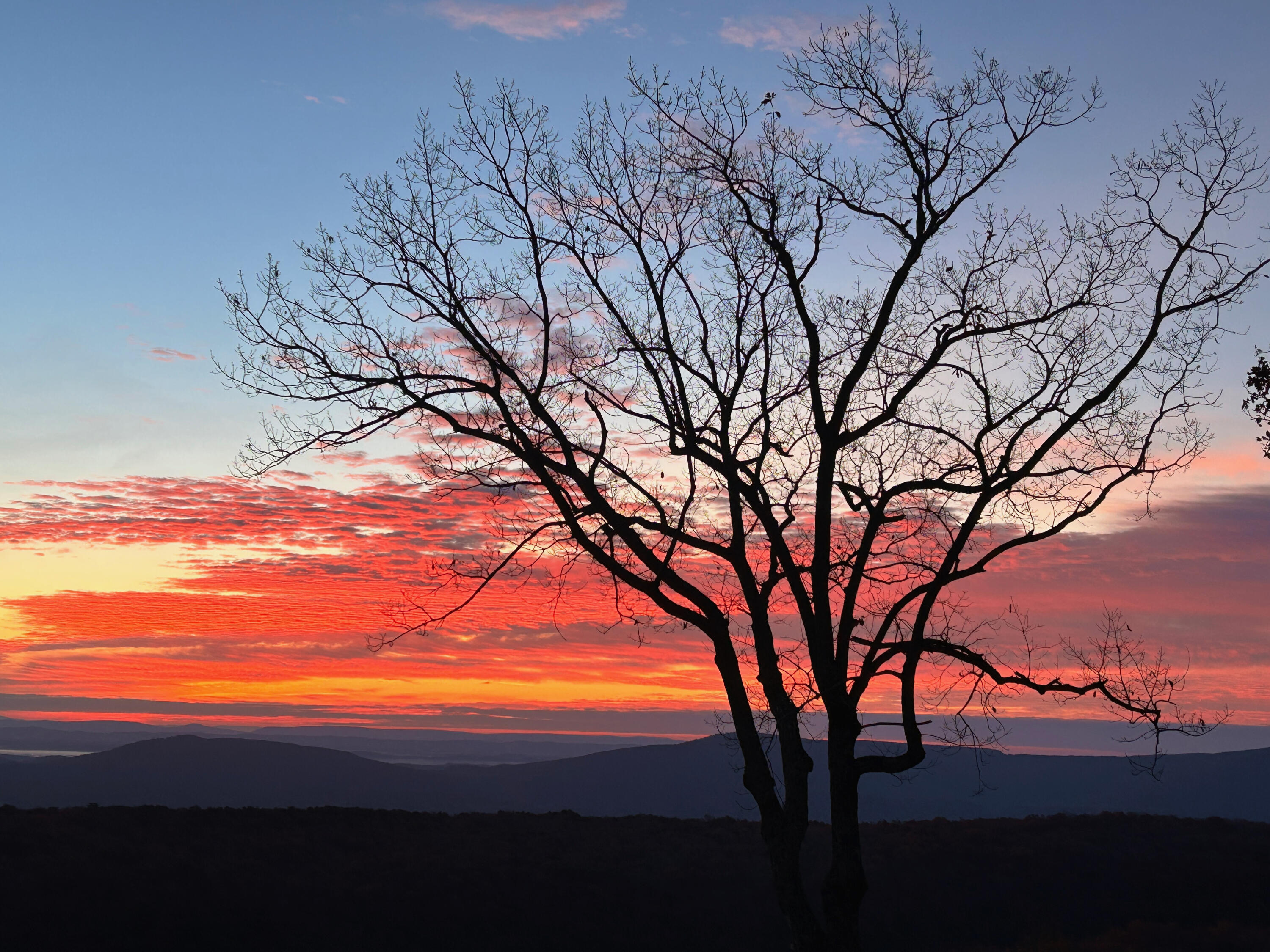 12855 Highway 157 Rising Fawn, GA 30738 - Photo 108 of 113 Jayne 12855 Hwy 157 Views - 4