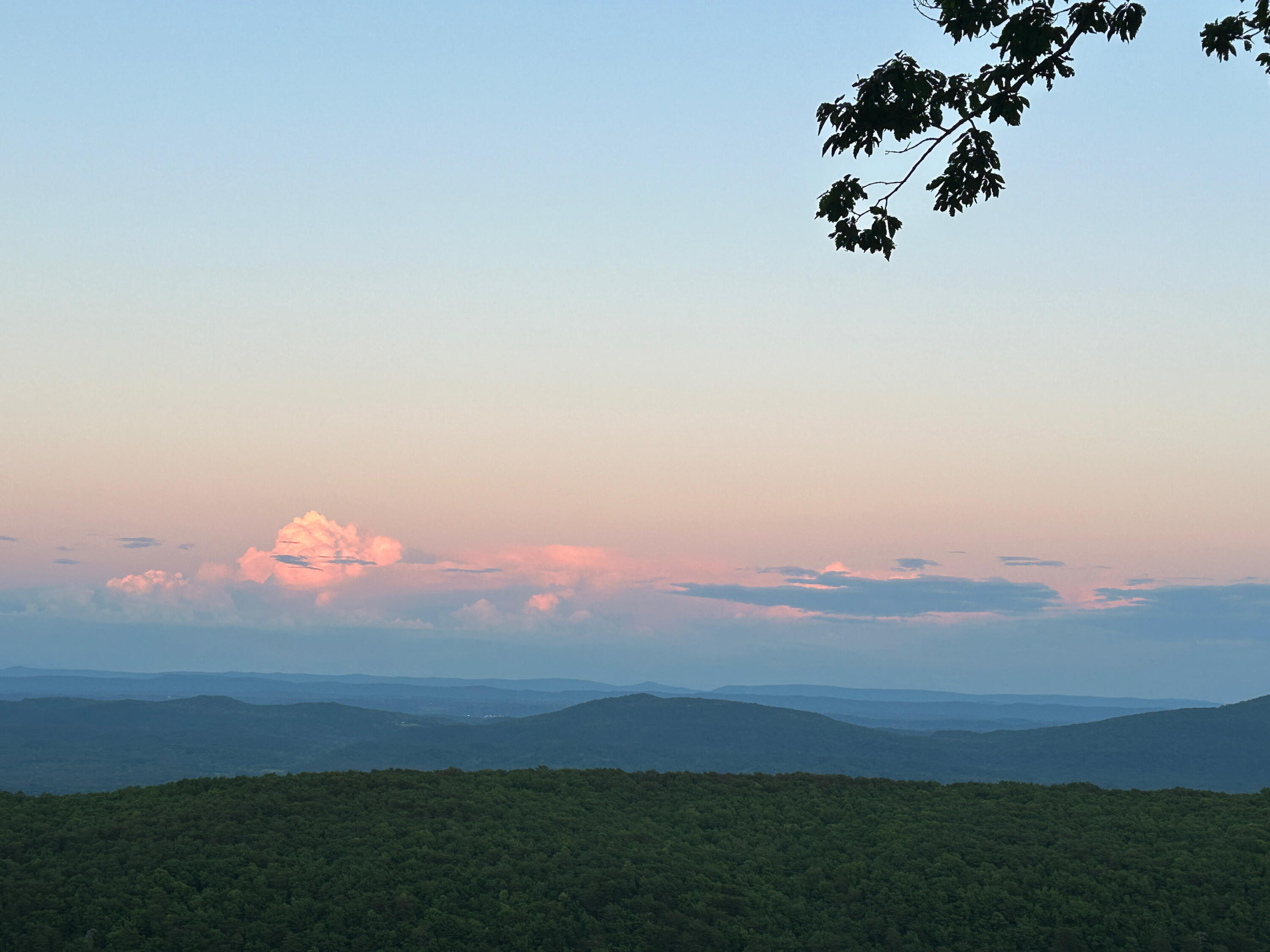 12855 Highway 157 Rising Fawn, GA 30738 - Photo 109 of 113 Jayne 12855 Hwy 157 Views - 5