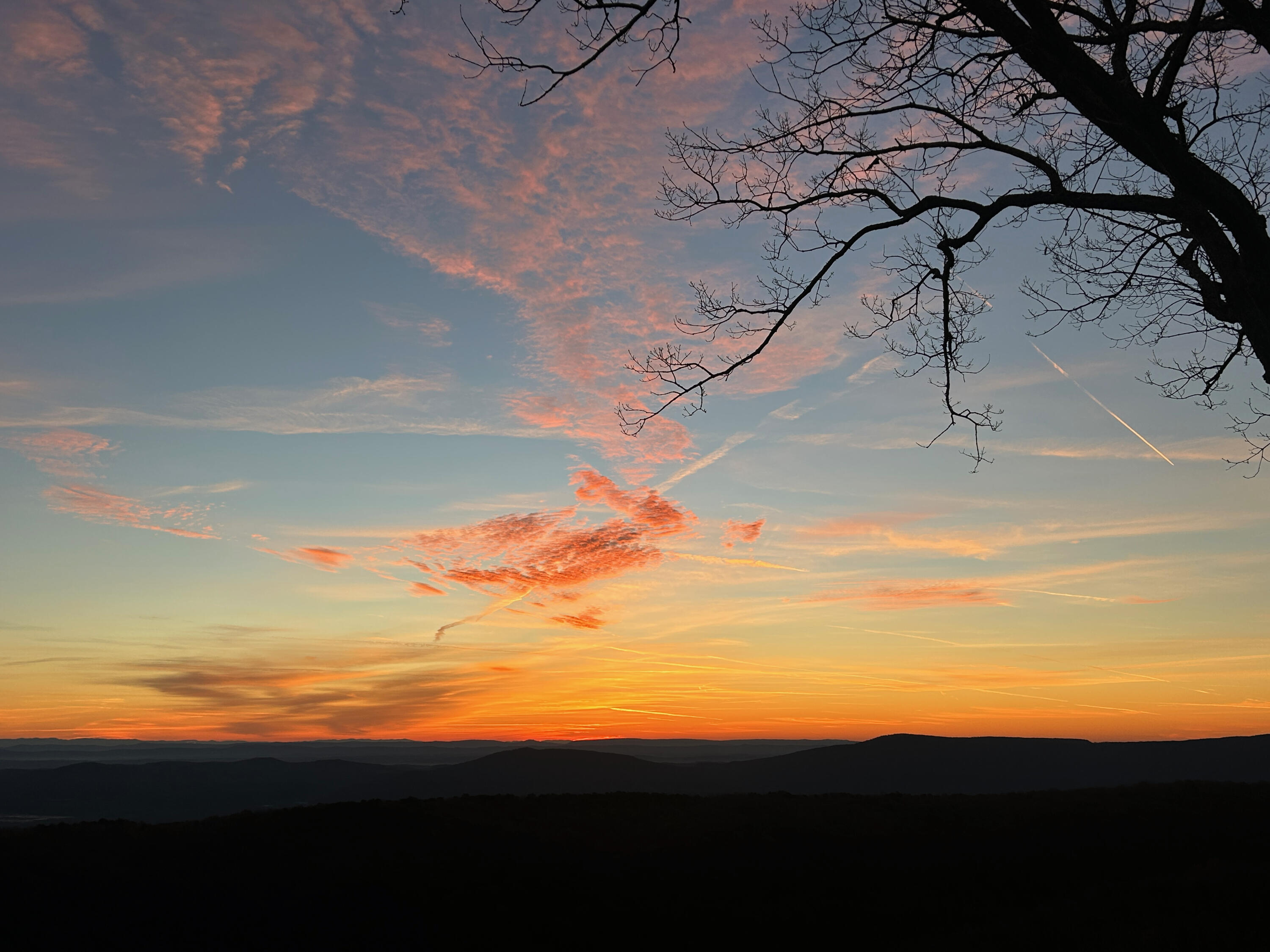 12855 Highway 157 Rising Fawn, GA 30738 - Photo 110 of 113 Jayne 12855 Hwy 157 Views - 8