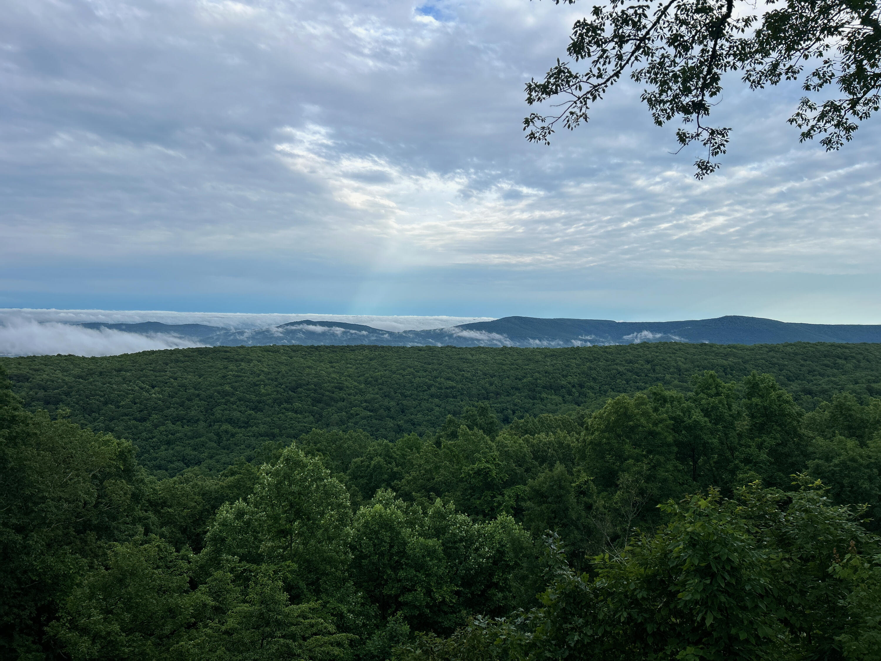 12855 Highway 157 Rising Fawn, GA 30738 - Photo 111 of 113 Jayne 12855 Hwy 157 Views - 9