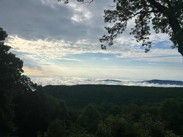 $2,200,000 | 12855 Highway 157, Rising Fawn, GA 30738