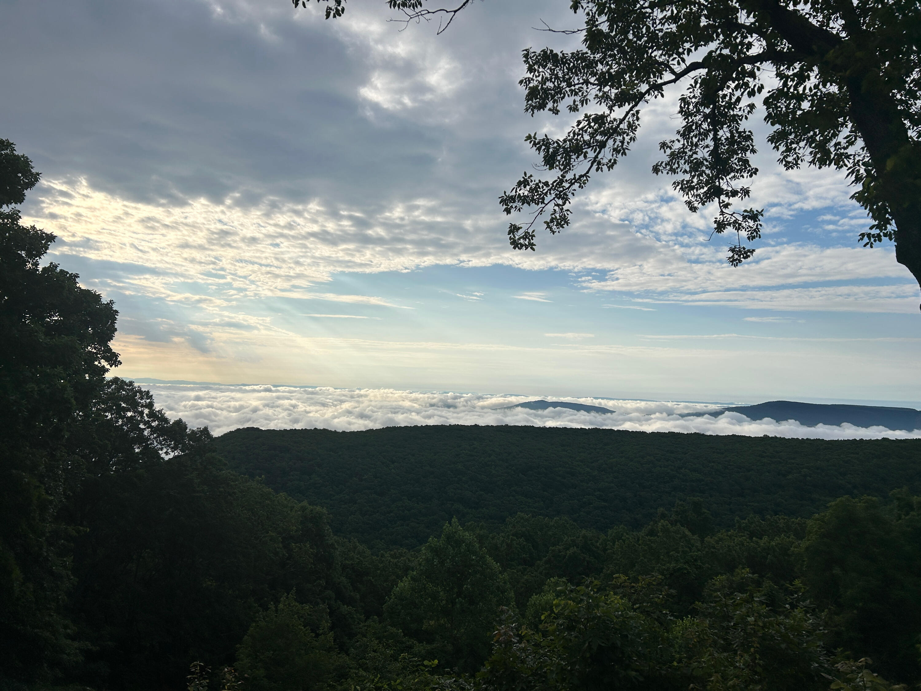 12855 Highway 157 Rising Fawn, GA 30738 - Photo 112 of 113 Jayne 12855 Hwy 157 Views - 10