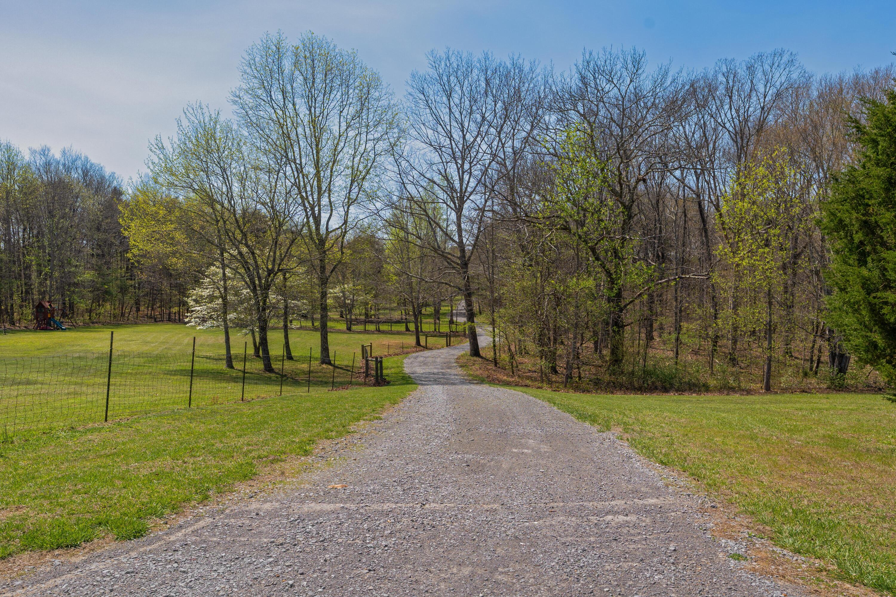 12855 Highway 157 Rising Fawn, GA 30738 - Photo 14 of 113 52 - 12855 Hwy 157 - Exterior