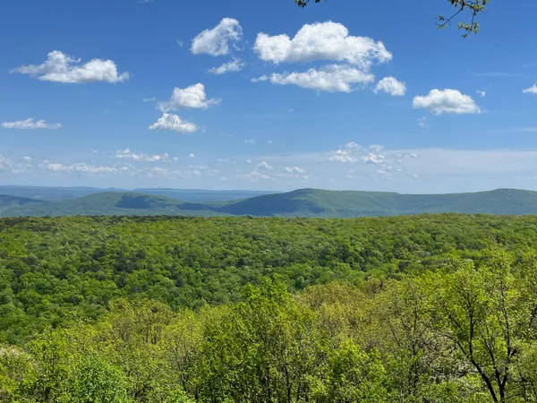 $2,200,000 | 12855 Highway 157, Rising Fawn, GA 30738