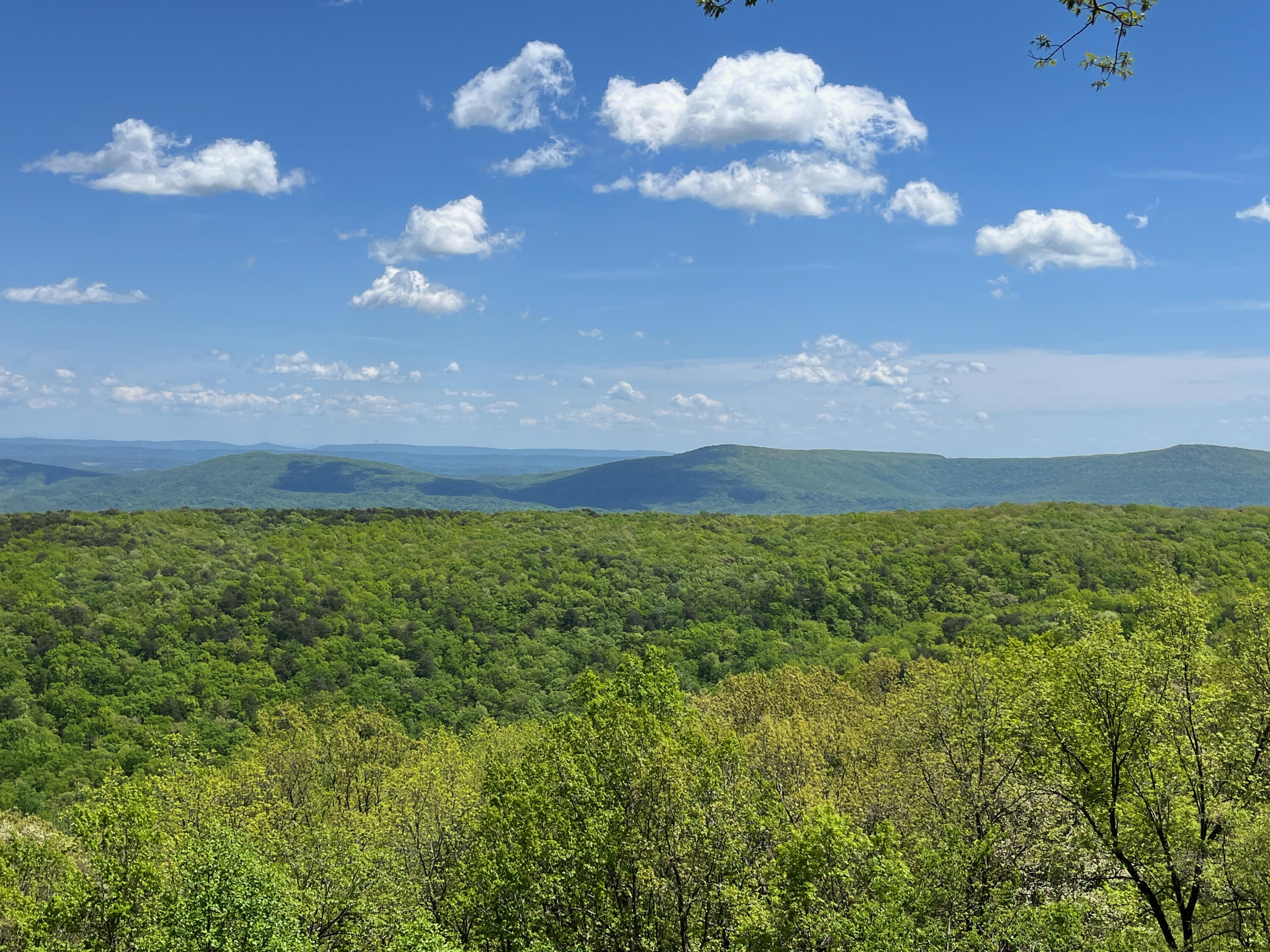 12855 Highway 157 Rising Fawn, GA 30738 - Photo 5 of 113 Jayne 12855 Hwy 157 Views - 3