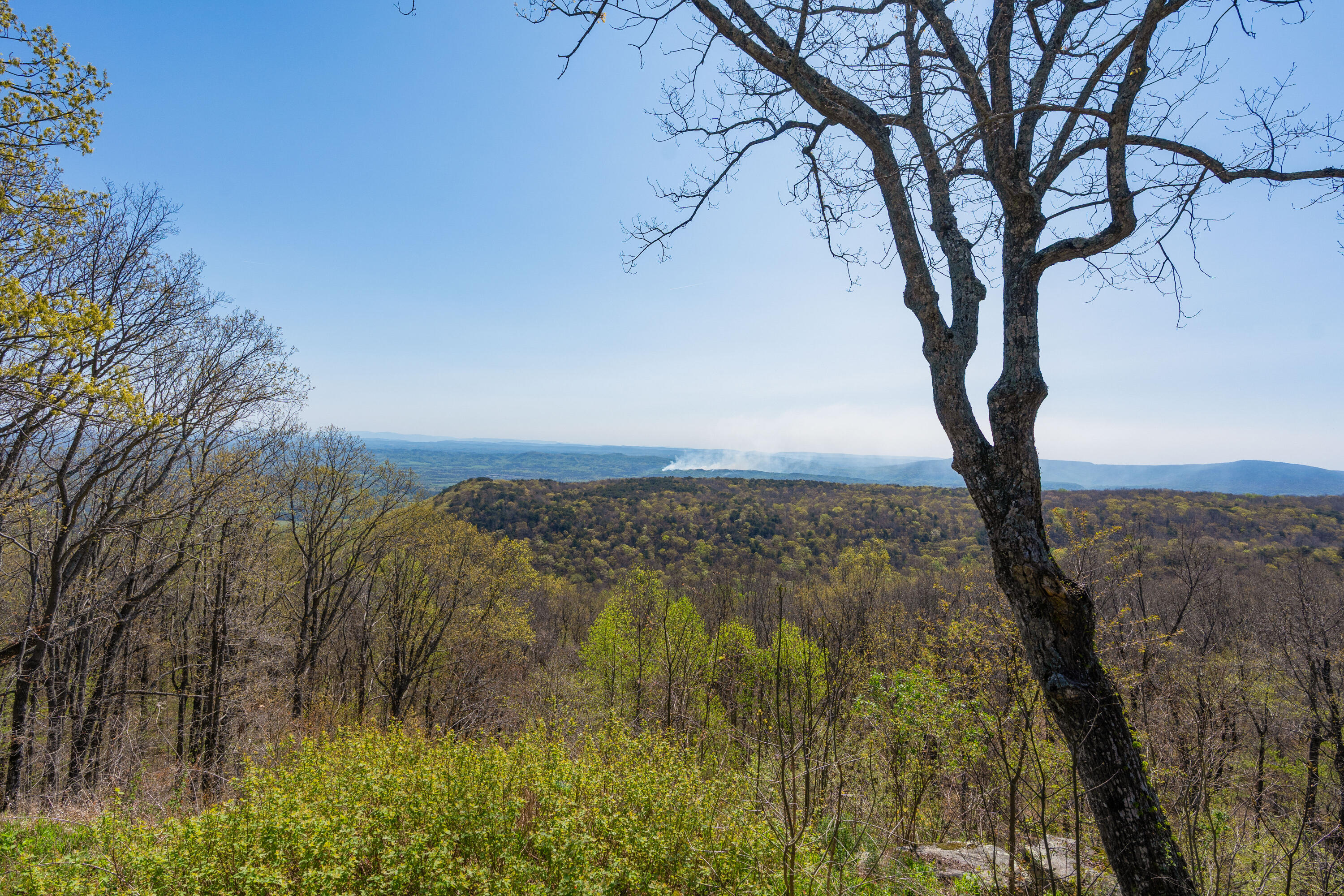 12855 Highway 157 Rising Fawn, GA 30738 - Photo 6 of 113 42 - 12855 Hwy 157 - Exterior