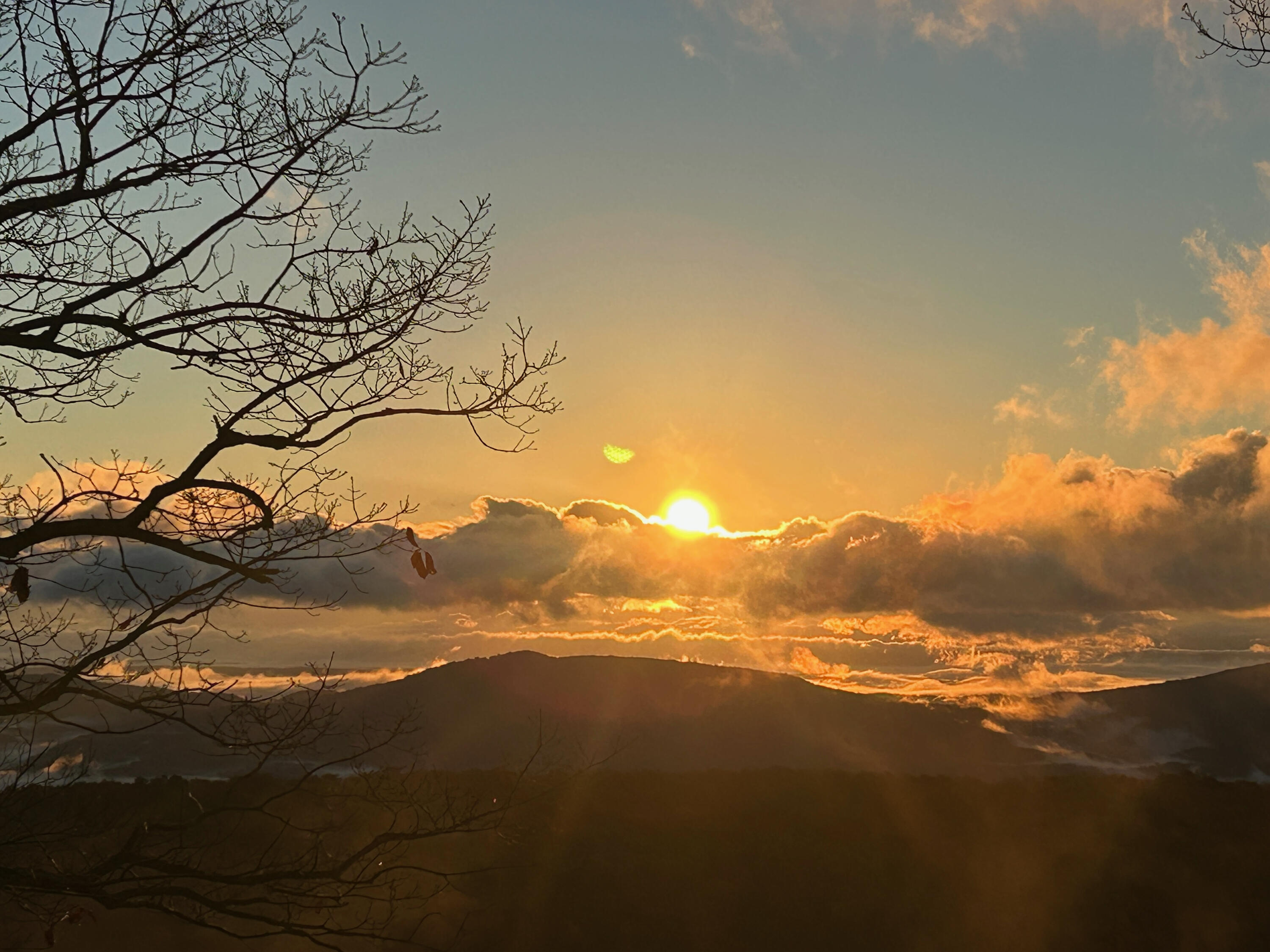 12855 Highway 157 Rising Fawn, GA 30738 - Photo 8 of 113 Jayne 12855 Hwy 157 Views - 7
