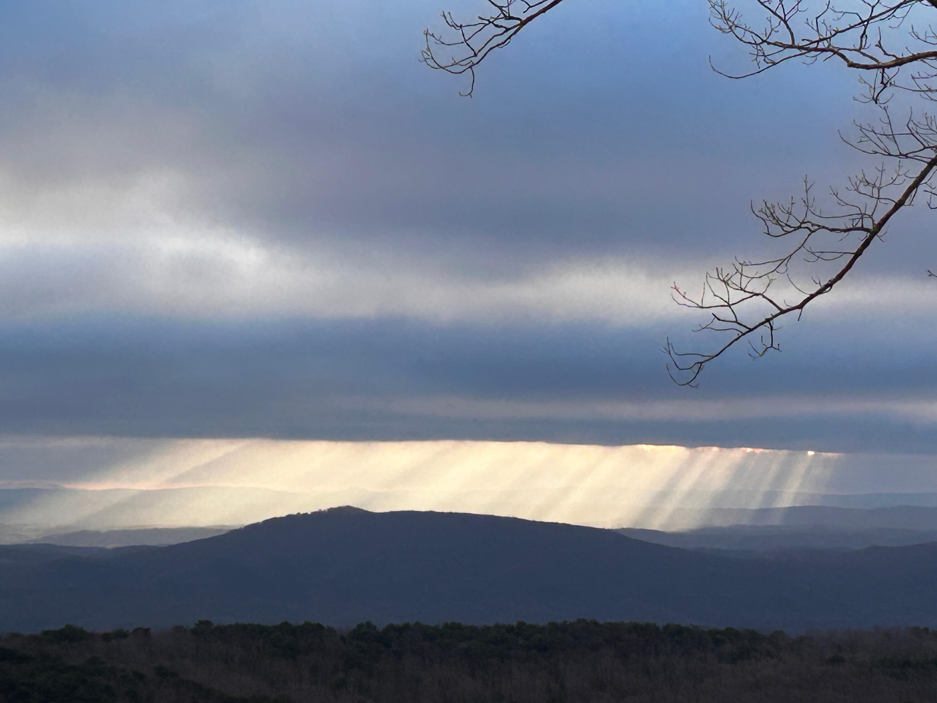 12855 Highway 157 Rising Fawn, GA 30738 - Photo 9 of 113 Jayne 12855 Hwy 157 Views - 12