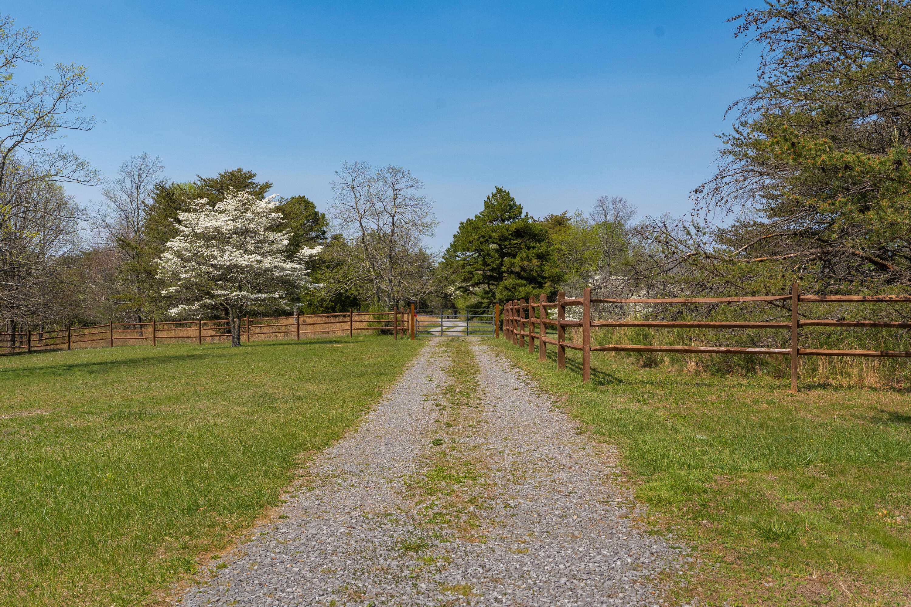 12855 Highway 157 Rising Fawn, GA 30738 - Photo 95 of 113 55 - 12855 Hwy 157 - Exterior