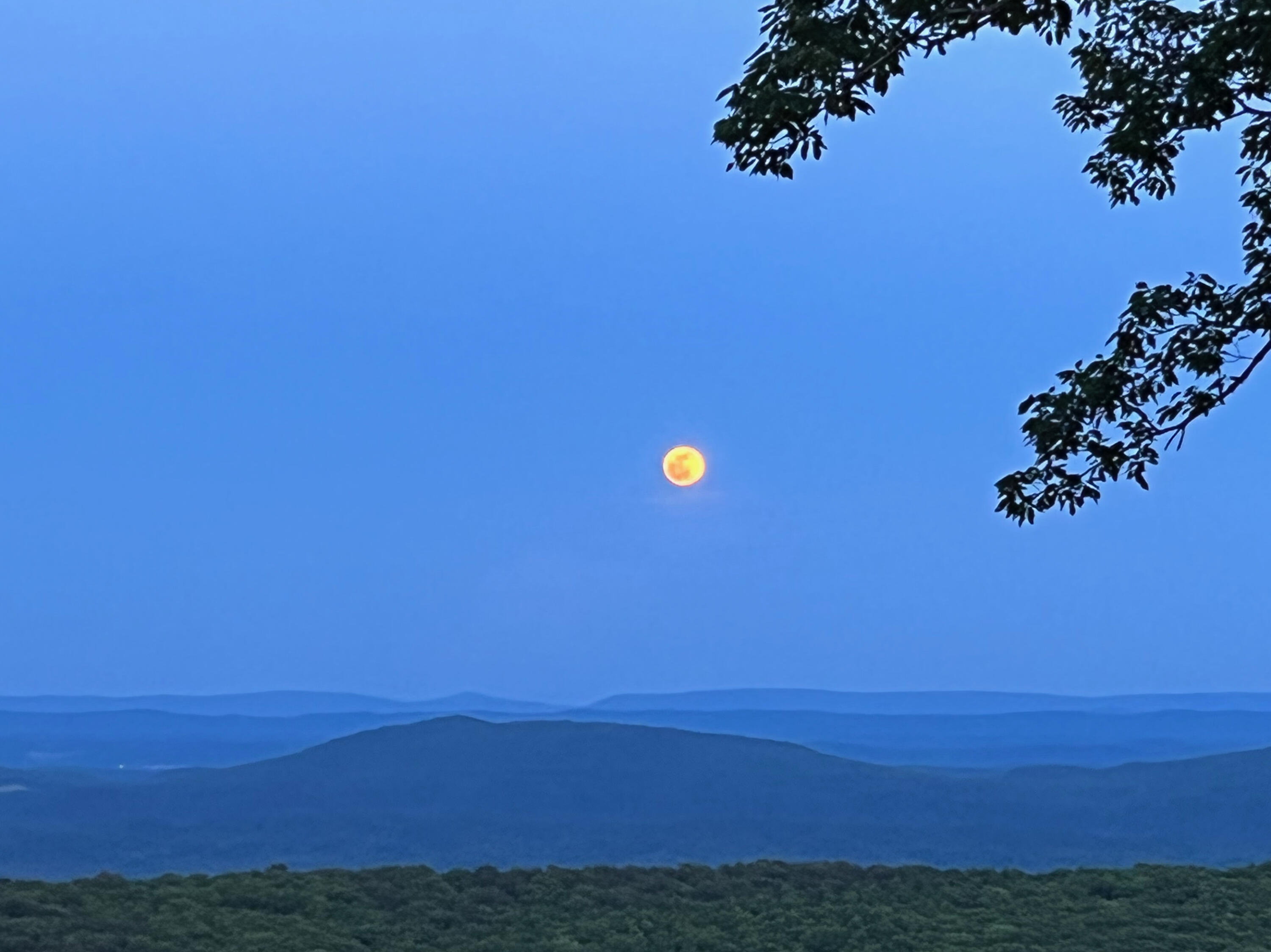 12855 Highway 157 Rising Fawn, GA 30738 - Photo 10 of 113 Jayne 12855 Hwy 157 Views - 1