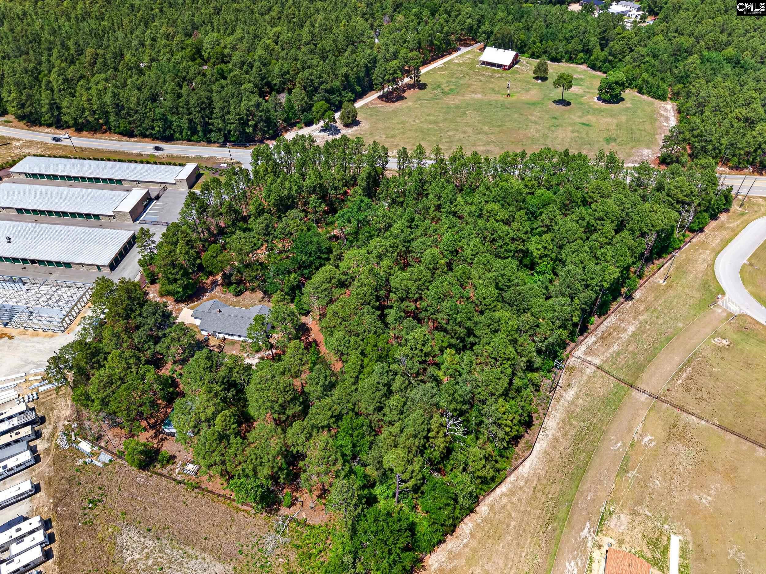 614 Longs Pond Road Lexington, SC 29073 - Photo 60 of 74
