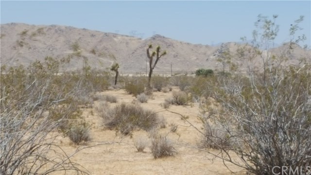 0 Bulrush Road Apple Valley, CA 92356 - Photo 1 of 1