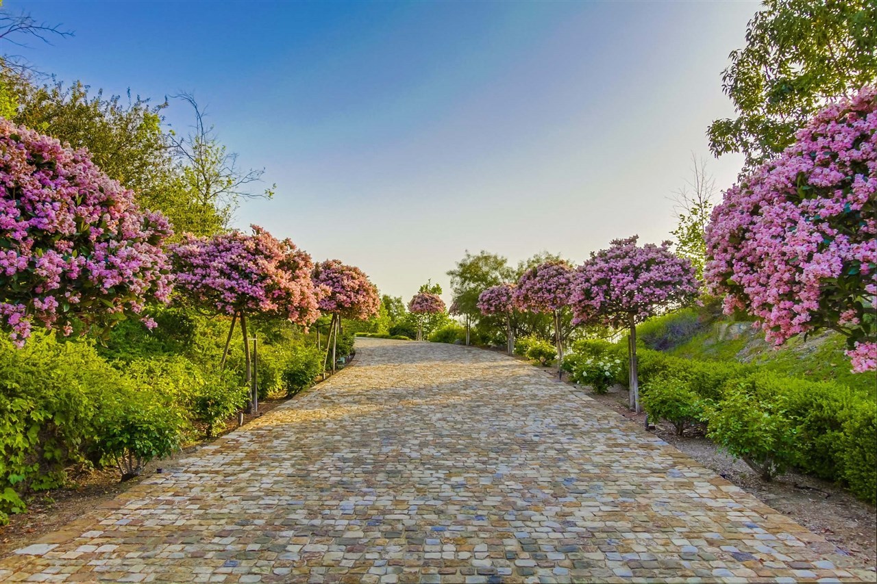 18441 Via Ambiente Rancho Santa Fe, CA 92067 - Photo 2 of 25