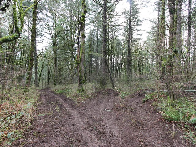 Southwest Summit Avenue Gaston, OR 97119 - Photo 7 of 12
