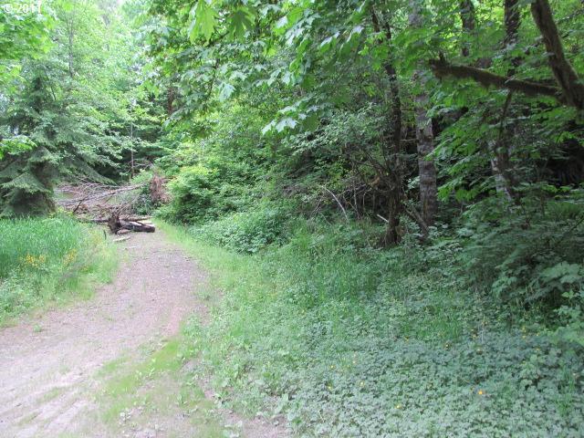 62700 Northwest Cochran Road Timber, OR 97144 - Photo 6 of 7 Gallery Image 6