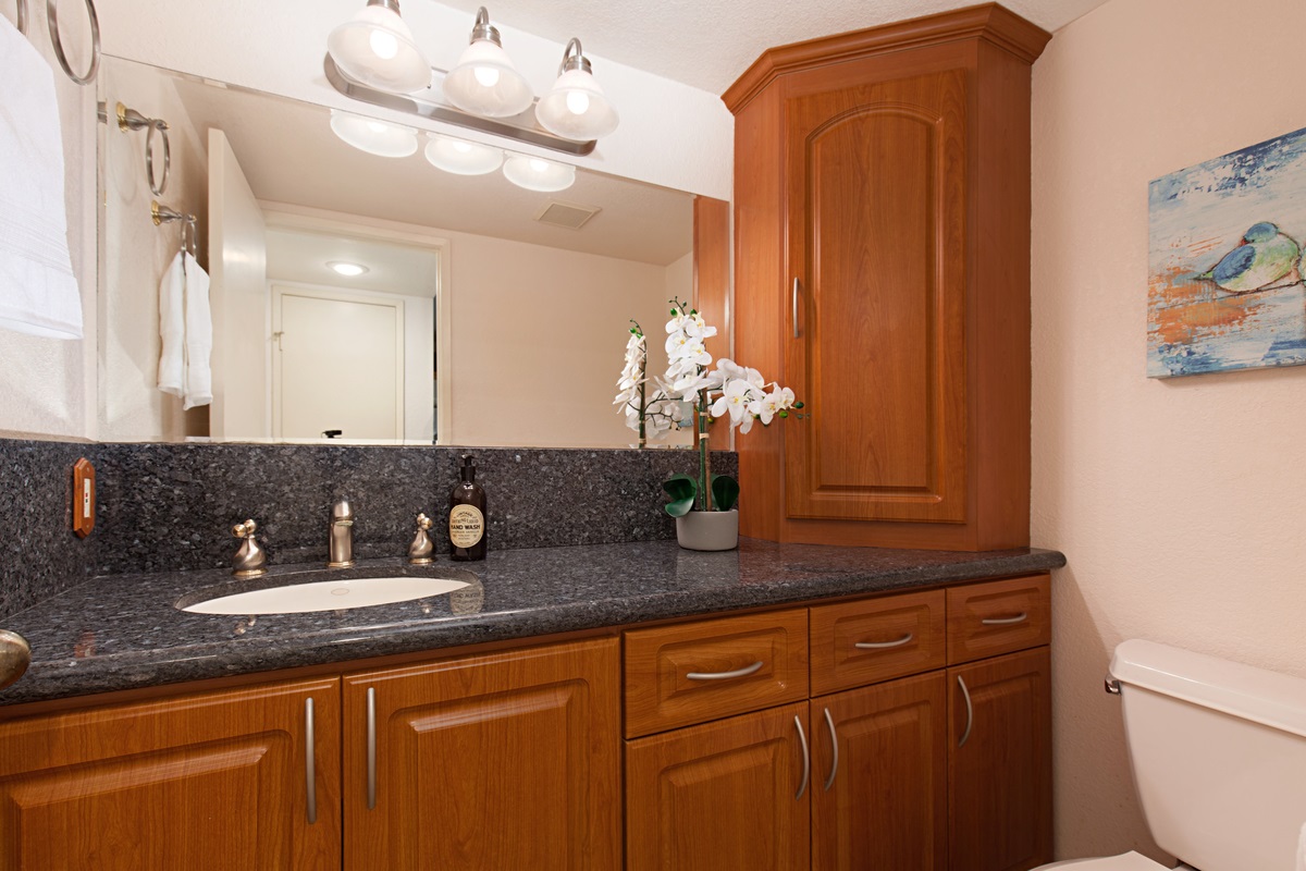249 Via Palacio Encinitas, CA 92024 - Photo 17 of 25 Gallery Image 17