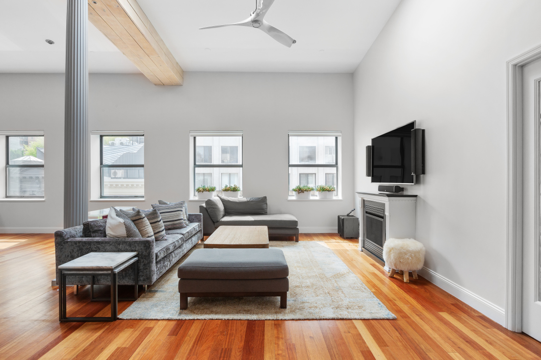 100 Reade Street, Unit 6CD Manhattan, NY 10013 - Photo 2 of 14