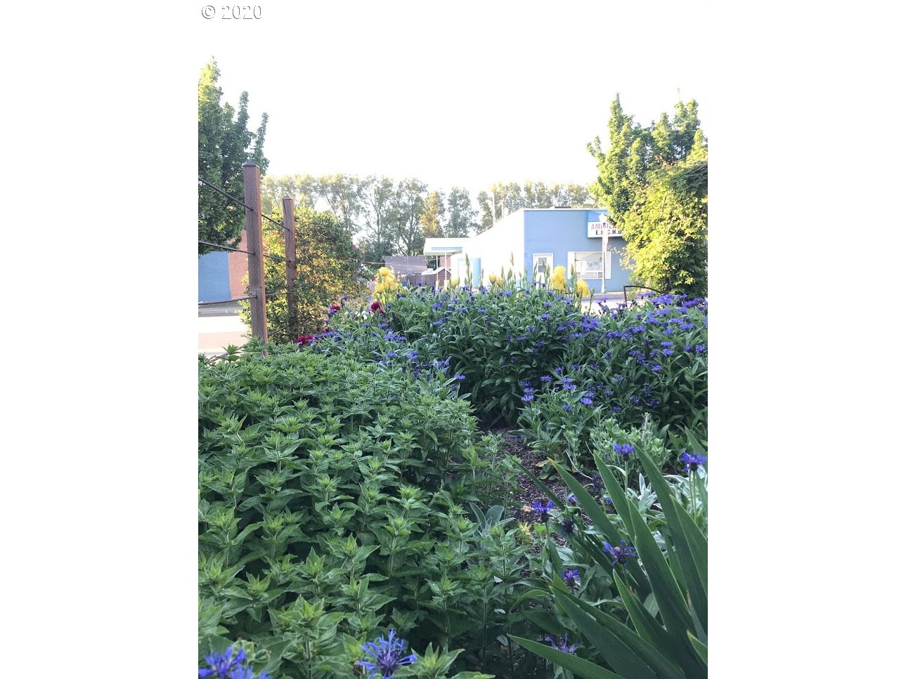 438 Main Street Athena, OR 97813 - Photo 26 of 30 Gallery Image 26