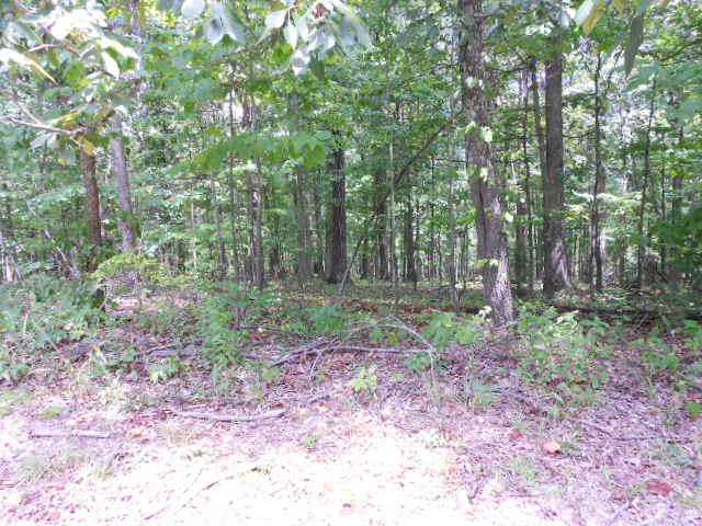 0 Edenway Road Stewart, TN 37175 - Photo 9 of 12 Gallery Image 9