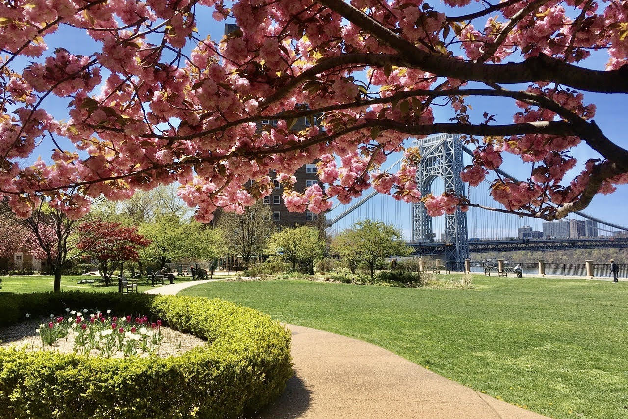 160 Cabrini Boulevard, Unit 121 Manhattan, NY 10033 - Photo 27 of 36