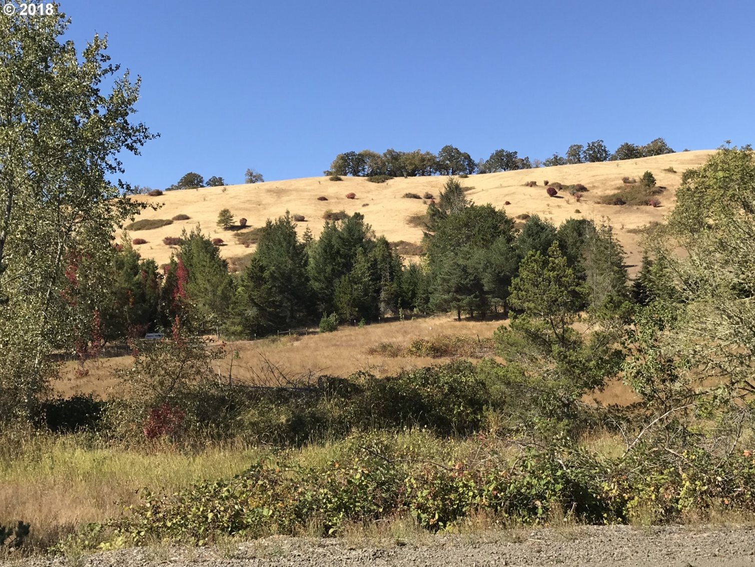 9120 Melqua Road Umpqua, OR 97486 - Photo 21 of 21 Gallery Image 21
