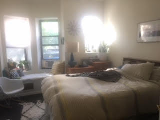 1117 8th Avenue, Unit 2R Brooklyn, NY 11215 - Photo 3 of 7