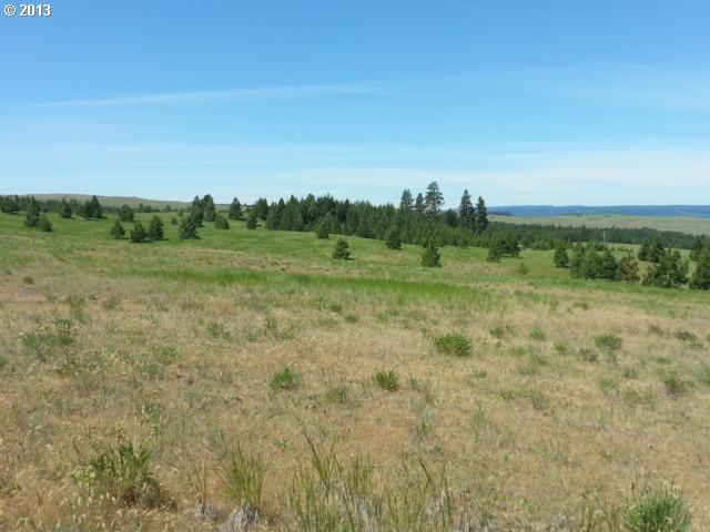 Schilling Road, Unit 113 Lyle, WA 98635 - Photo 13 of 14 Gallery Image 13