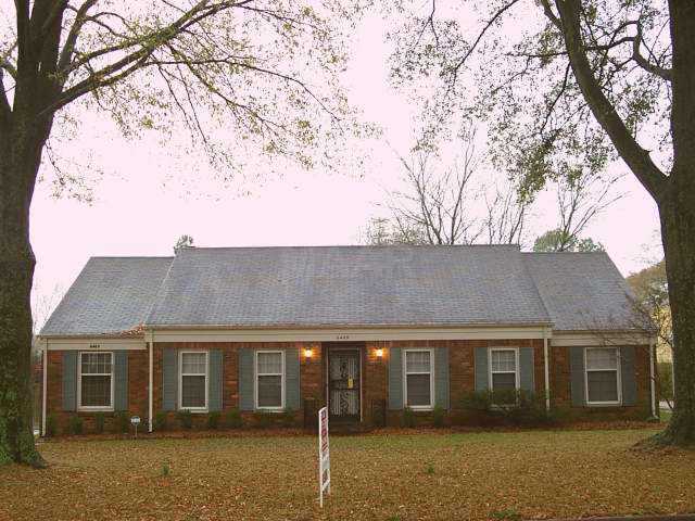 6469 Messick Road Memphis, TN 38119 - Photo 1 of 1 Gallery Image 1