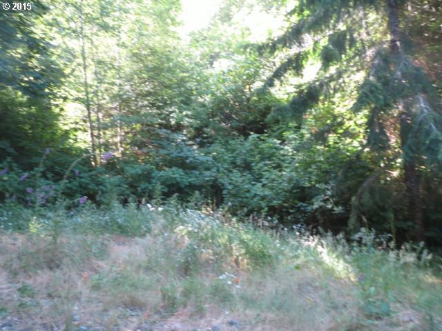 300 Mountain Road Gold Beach, OR 97444 - Photo 5 of 8 Gallery Image 5