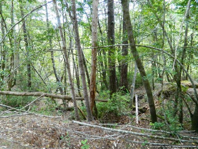 38085 Agness Illahe Road Agness, OR 97406 - Photo 12 of 16 Gallery Image 12