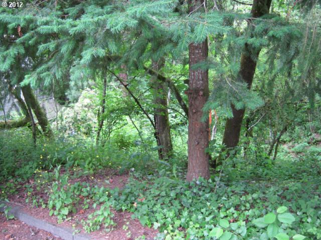 0 Southwest 44th Avenue Portland, OR 97221 - Photo 3 of 3 Gallery Image 3