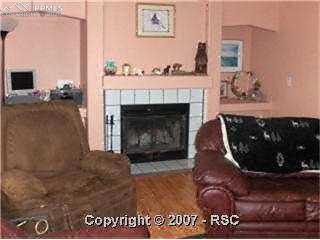 22755 East Garrett Road Calhan, CO 80808 - Photo 11 of 11 Family Room Fireplace
