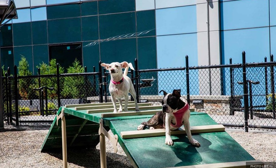 100 Willoughby Street, Unit 4H Brooklyn, NY 11201 - Photo 24 of 40