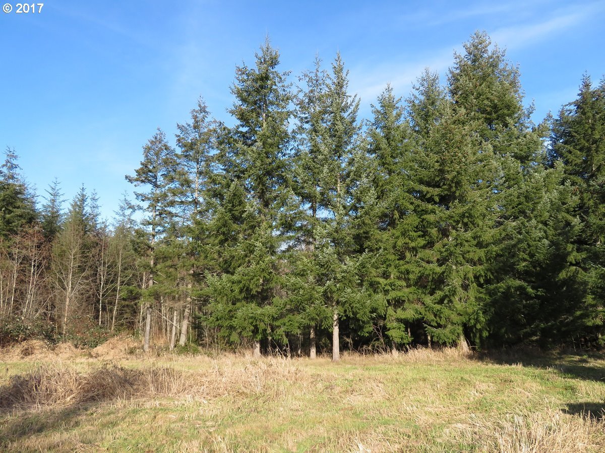 Cousins Road, Unit 2 Chehalis, WA 98532 - Photo 5 of 32