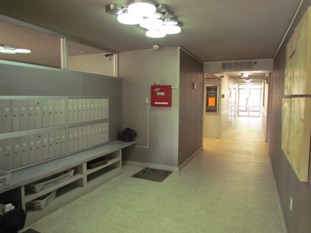 3080 Walnut Grove Road, Unit 304 Memphis, TN 38111 - Photo 4 of 25 Gallery Image 4
