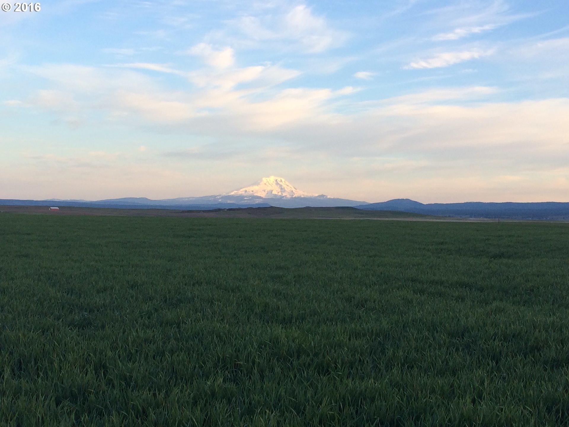 Golden Valley Road, Unit 1 Goldendale, WA 98620 - Photo 1 of 9 Gallery Image 1