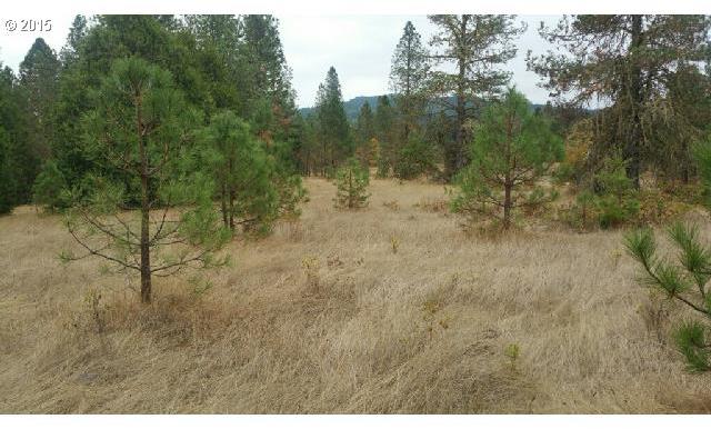 966 Doerner Road Roseburg, OR 97471 - Photo 4 of 8