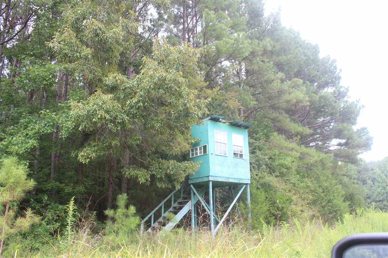 0 Robert Ford Road Waterford, MS 38685 - Photo 15 of 25