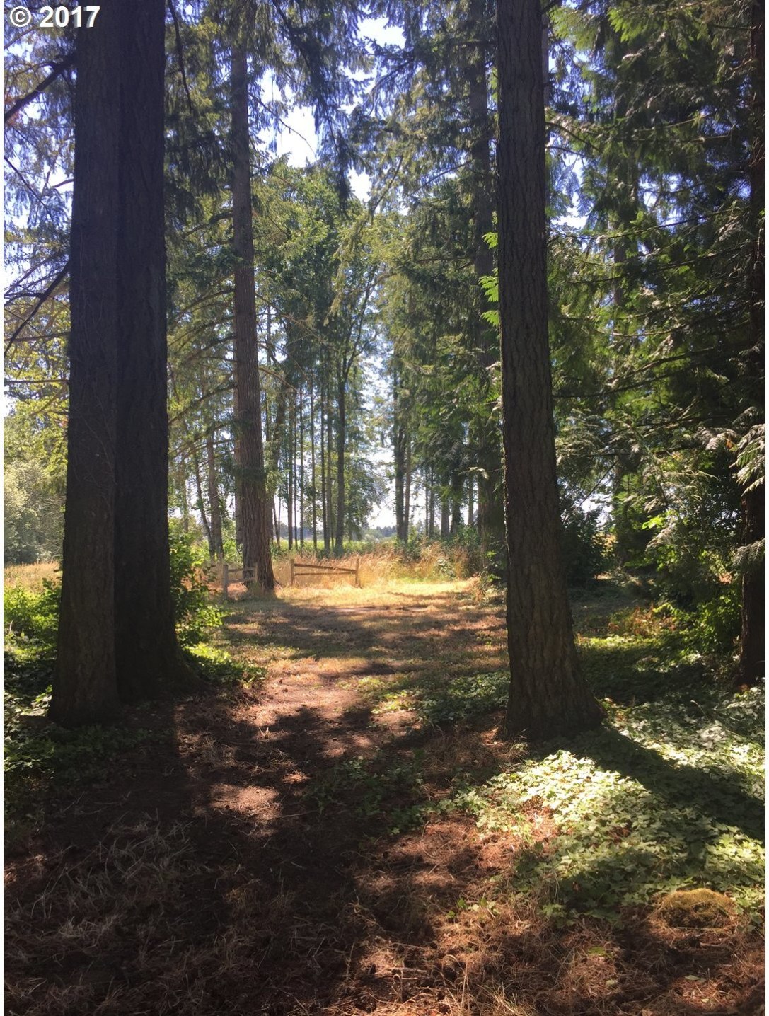2304 Northwest Cornelius Schefflin Road Cornelius, OR 97113 - Photo 1 of 14 Gallery Image 1