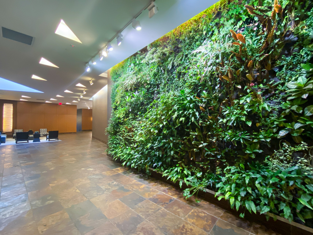 Kalahari 40 W 116th St, Manhattan, NY 10026 - Photo 7 of 32