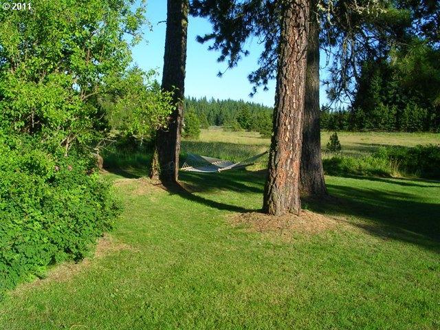 969 Snowden Road White Salmon, WA 98672 - Photo 12 of 15