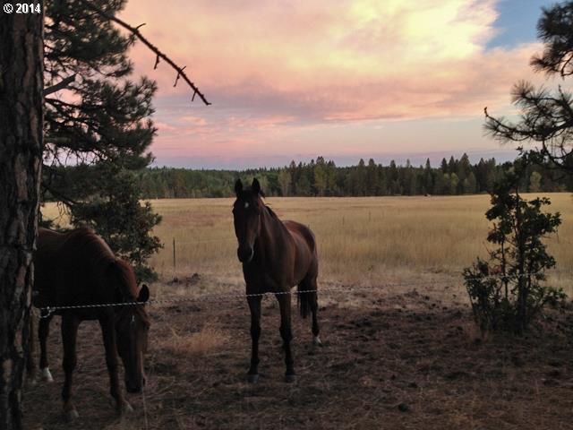 West Homestead Road, Unit LOT18 Goldendale, WA 98620 - Photo 14 of 16 Gallery Image 14