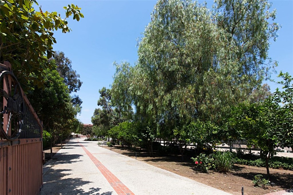 1640 Hillside Avenue Norco, CA 92860 - Photo 9 of 75 Main driveway from main gate