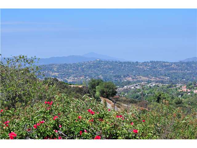 2995 North Victoria Drive Alpine, CA 91901 - Photo 4 of 25