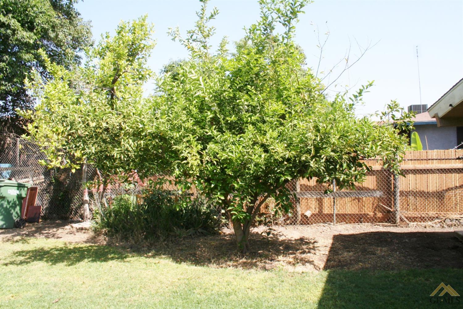 40661 Eddy Road Cutler, CA 93615 - Photo 24 of 34 Gallery Image 24